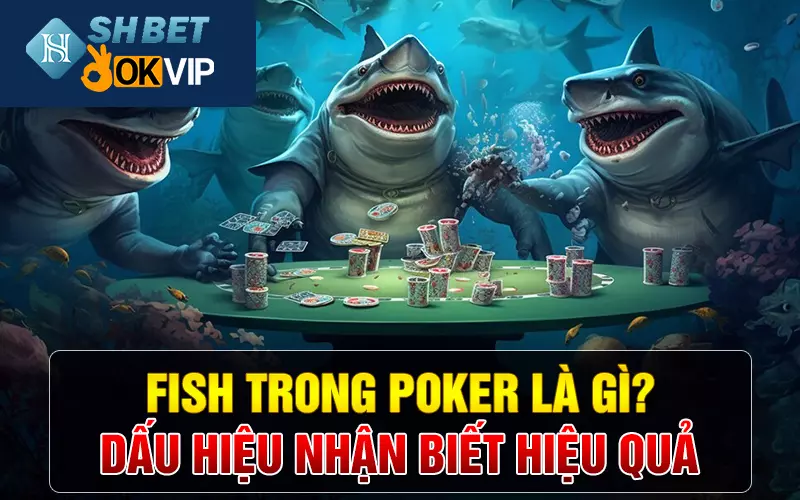 Fish trong poker là gì? Dấu hiệu nhận biết hiệu quả